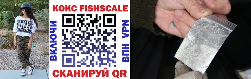 Купить закладки  Алзамай  КОКАИН FishScale 