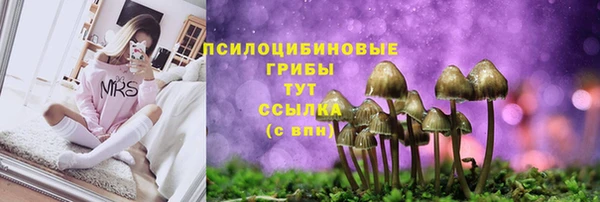 гашишное масло Нефтекумск